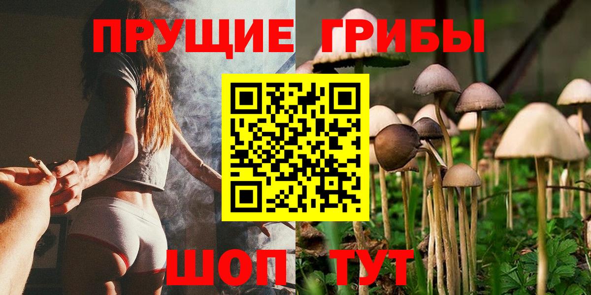 Нурлат  Псилоцибиновые грибы Psilocybine cubensis  Вход с VPN 